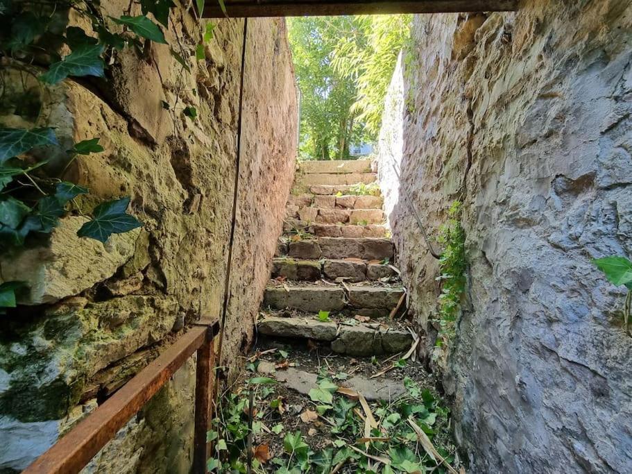 Elegance Provinoise Aux Pieds Des Remparts Classe Provins Exterior foto